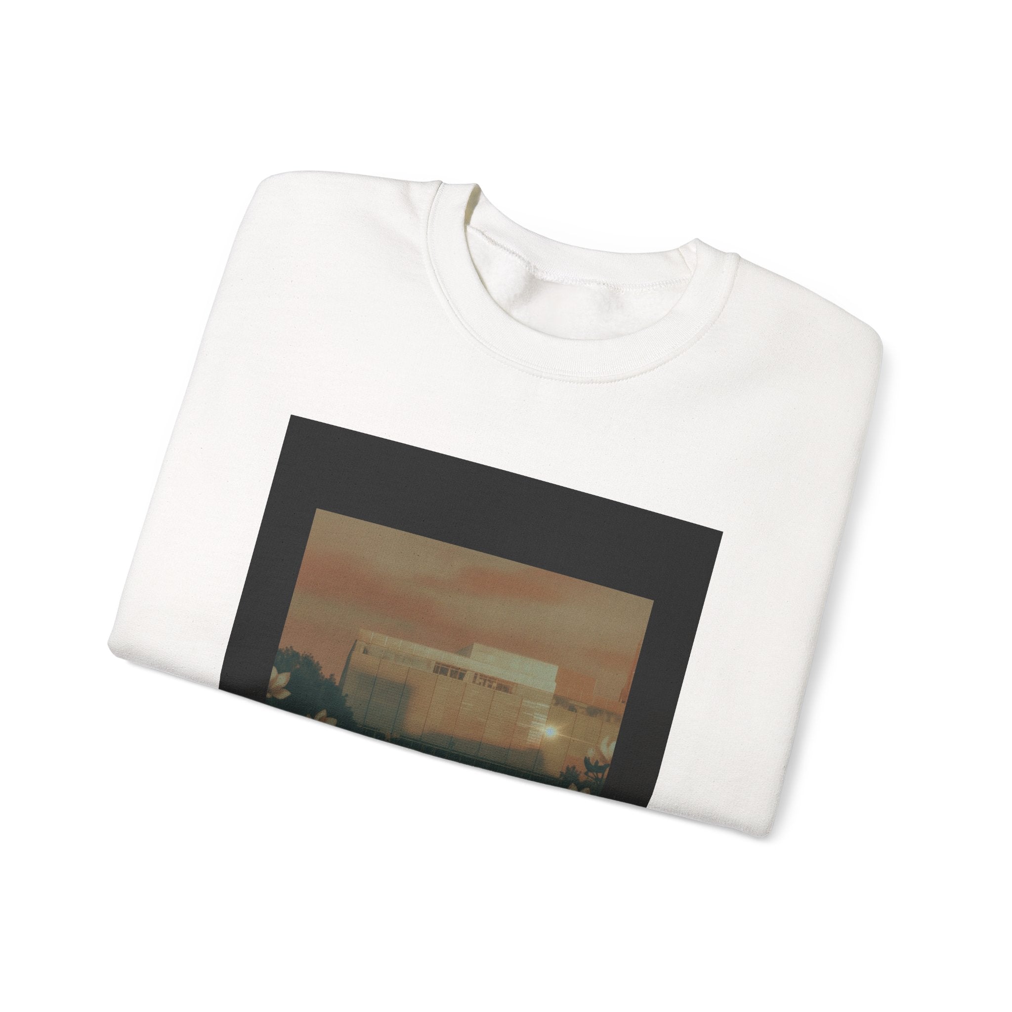 STEEL & SOUL crewneck sweatshirt — product view 8