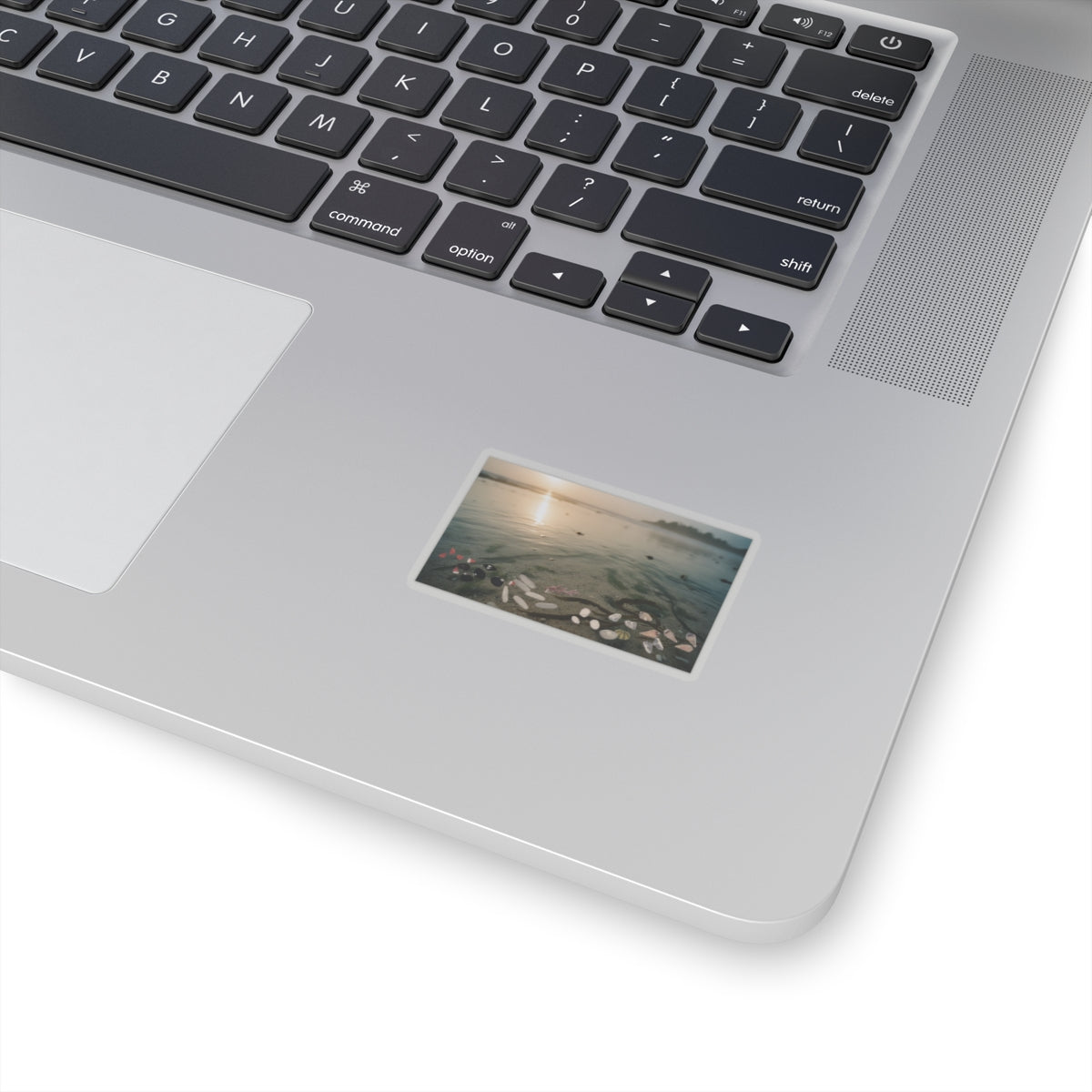 Scenic Nature — Shells Under Water — Kiss-Cut Sticker