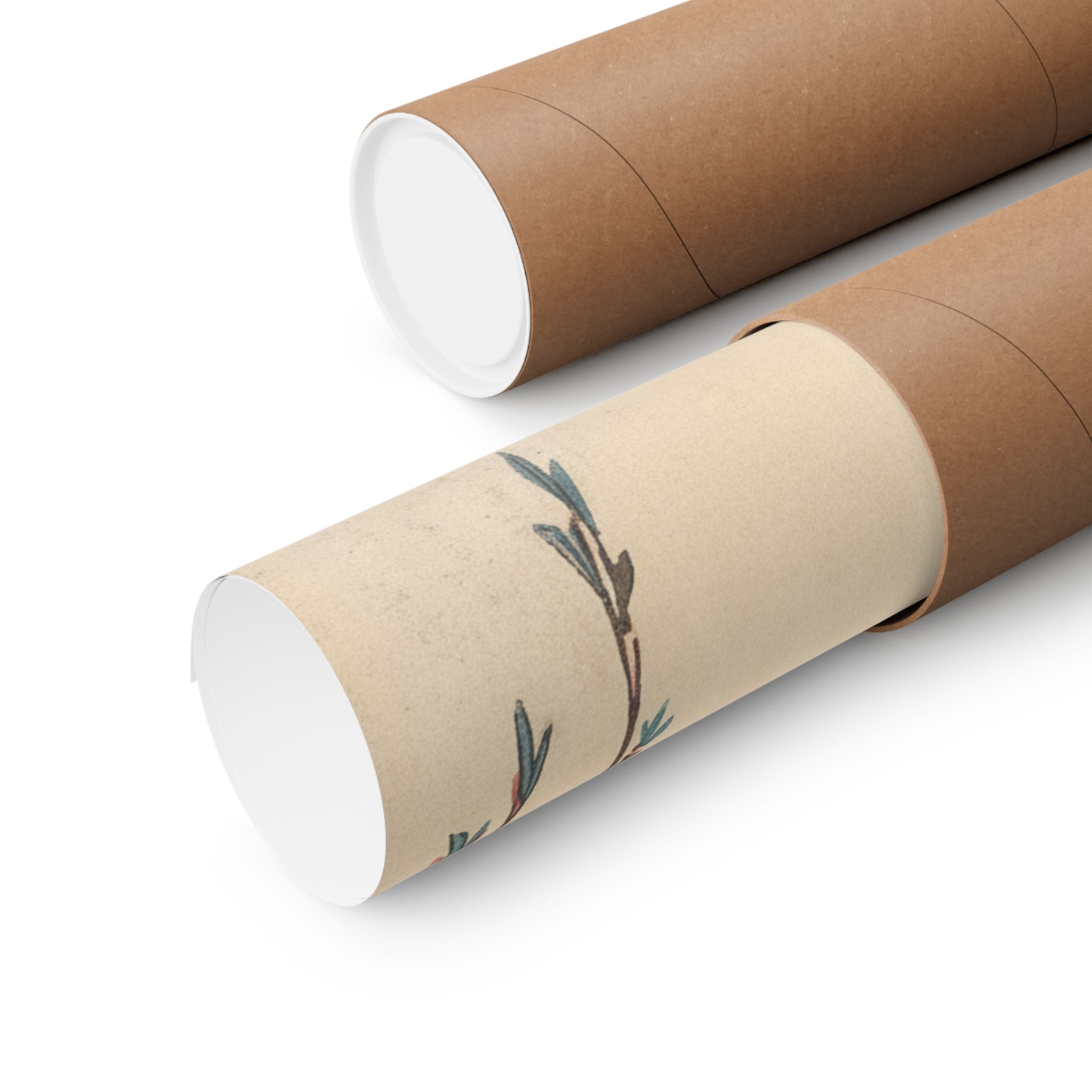 Botanical — Weeping Cherry — Matte Poster
